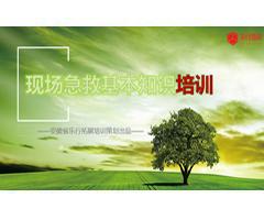 現(xiàn)場急救基本知識(shí)培訓(xùn)